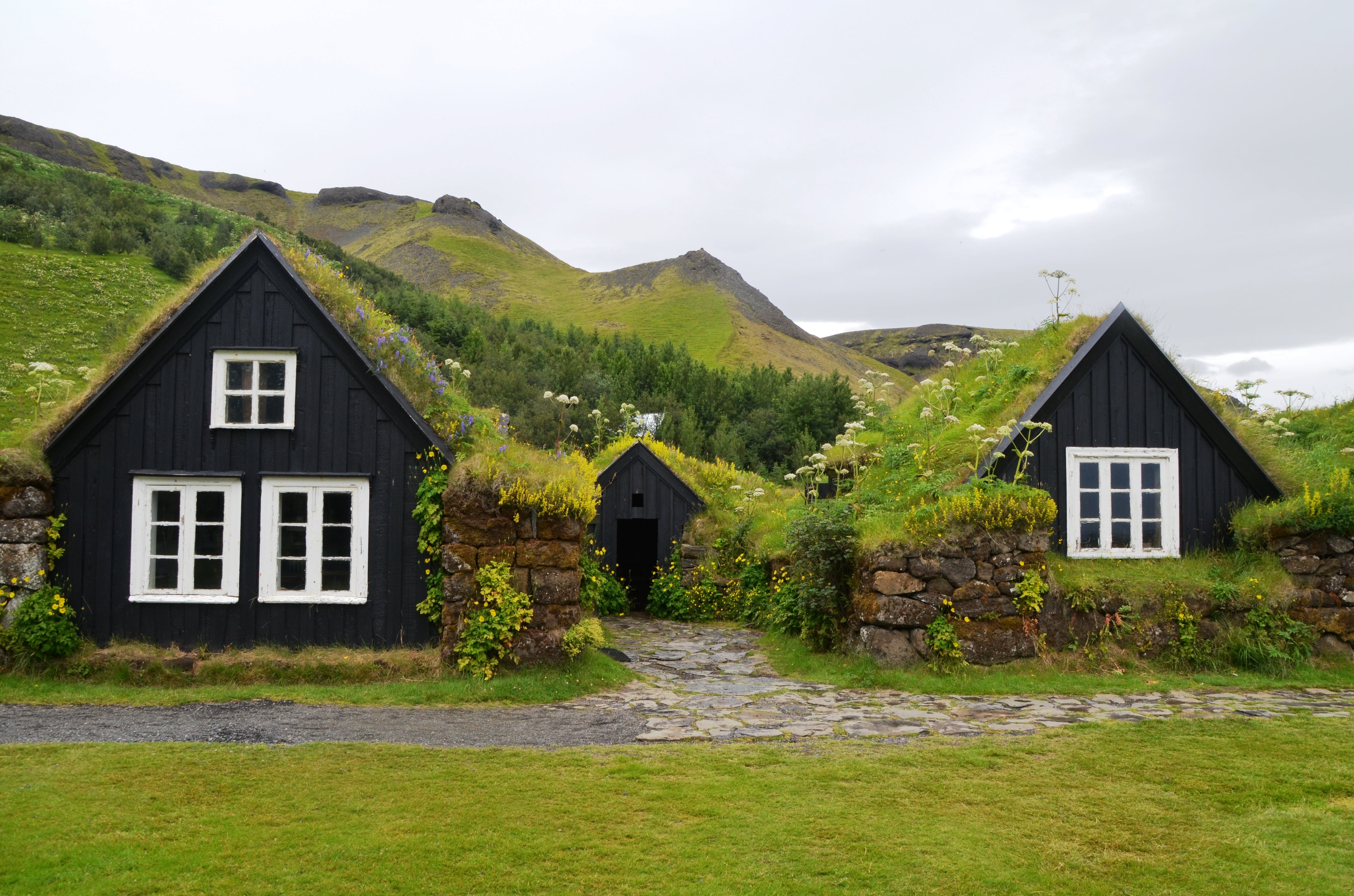 grass-covered homes