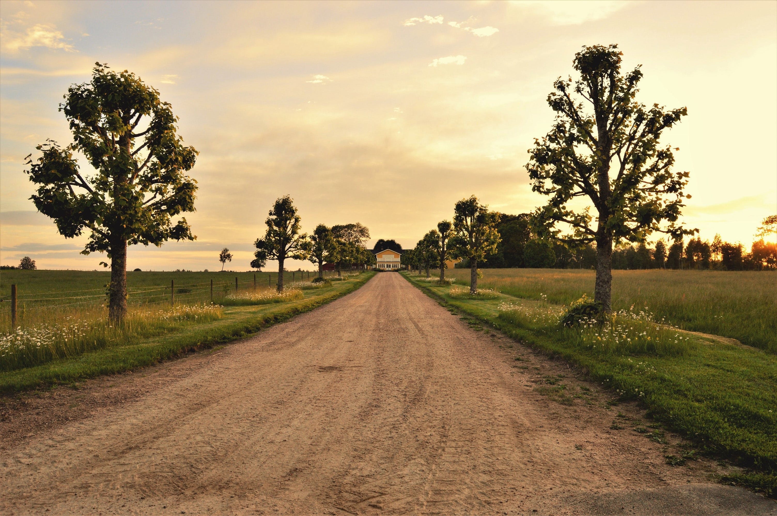 dirt road in country